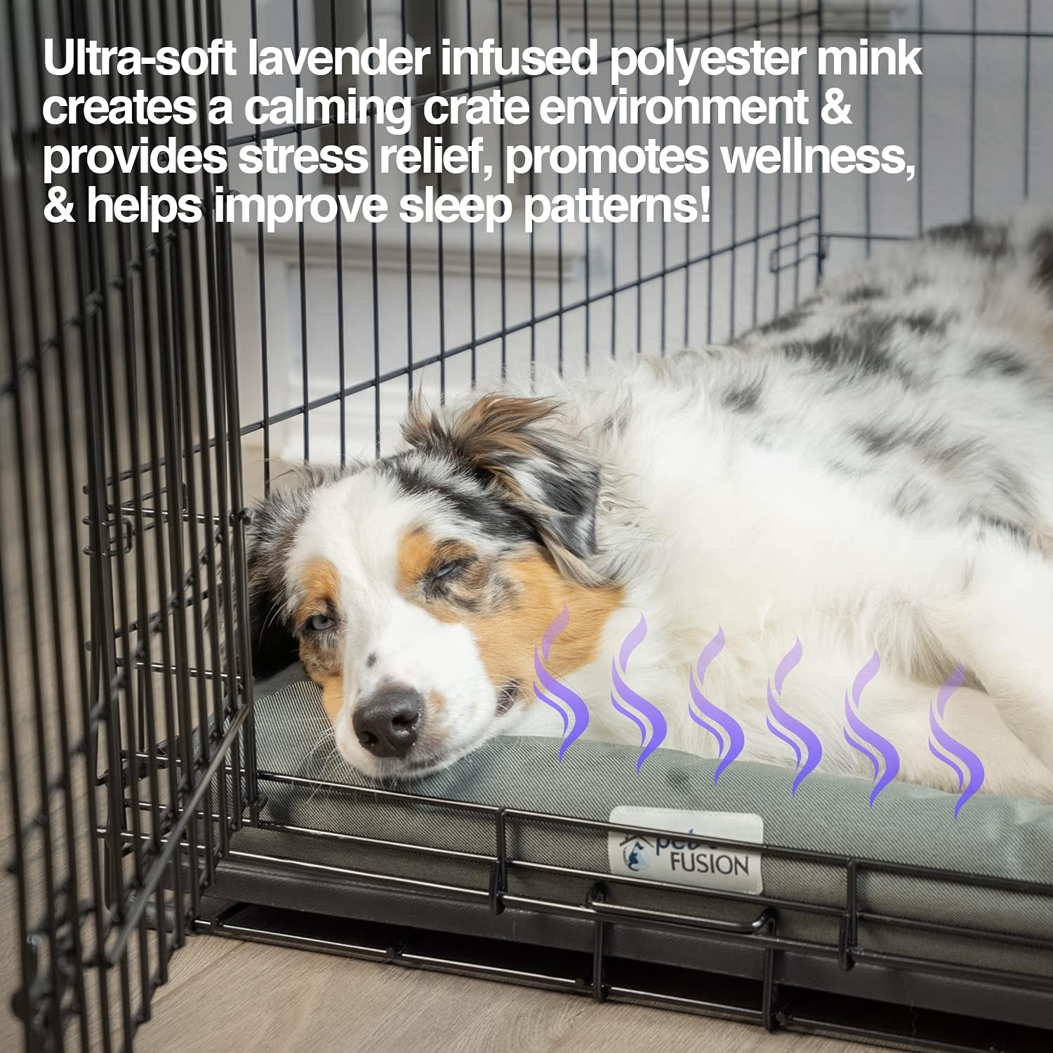 PetFusion Coperta Morbida Per Cani E Gatti - 79x69 Cm, Micro Peluche Reversibile, Grigio - Foto 10